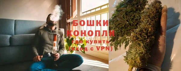 прущие грибы Осташков
