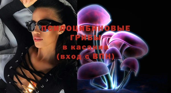 твердый Верхний Тагил