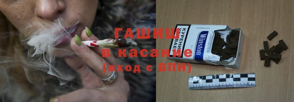 индика Белокуриха