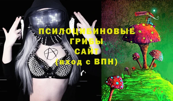 а пвп мука Бородино