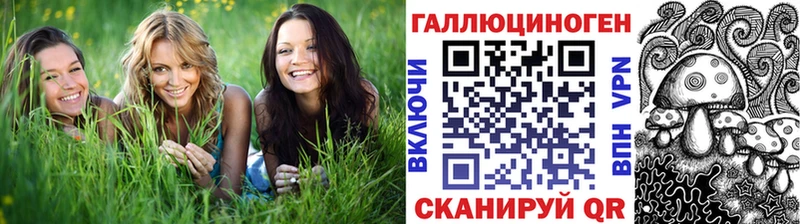 Галлюциногенные грибы MAGIC MUSHROOMS как найти наркотики Верея